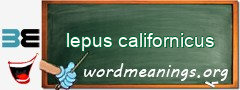 WordMeaning blackboard for lepus californicus